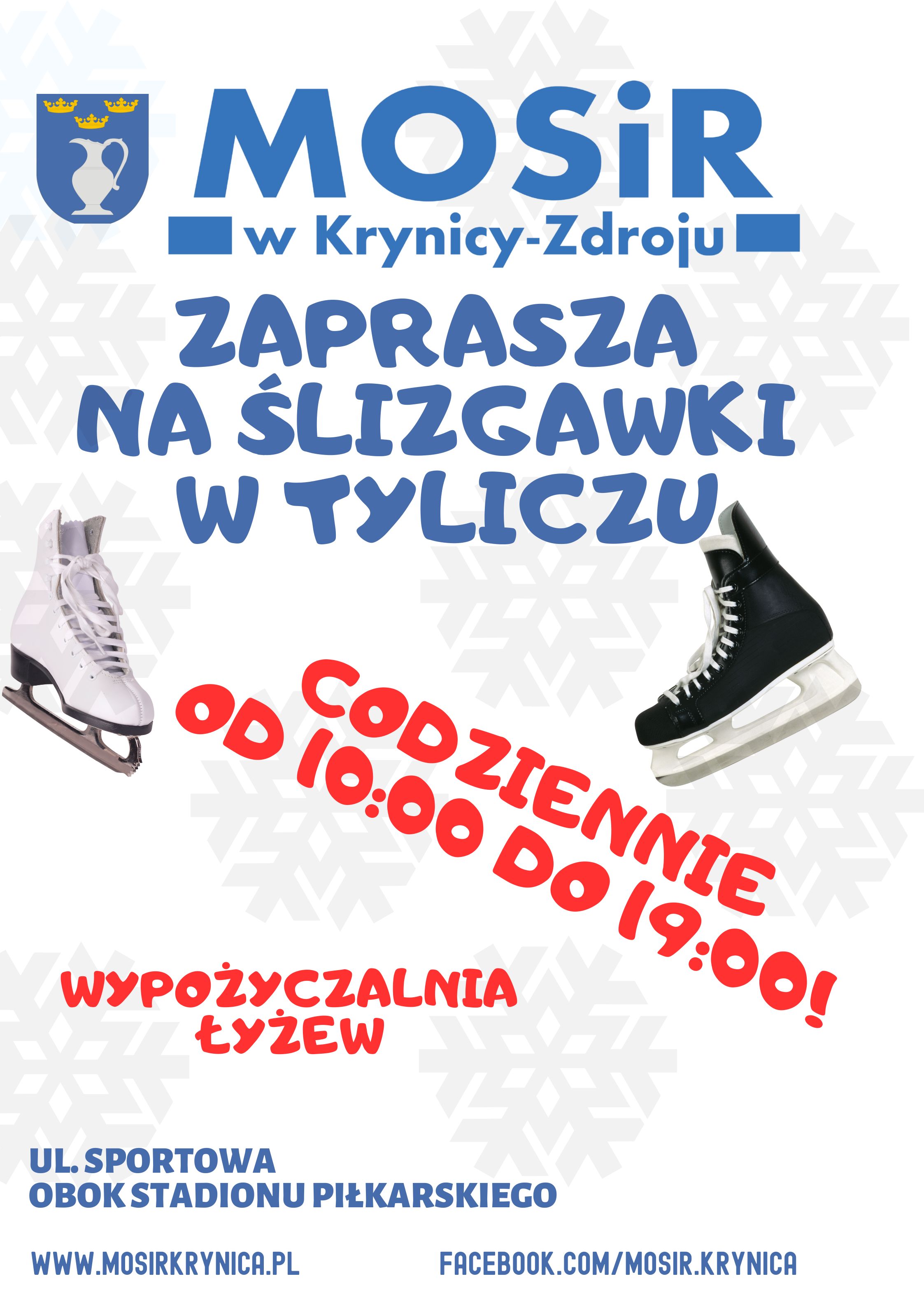 LIZGAWKI W TYLICZU