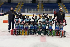 Projekt "Nauki jazdy na łyżwach dla przedszkolak&oacute;w"